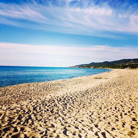 Palauma Plage Sari-Solenzara Ngoại thất bức ảnh