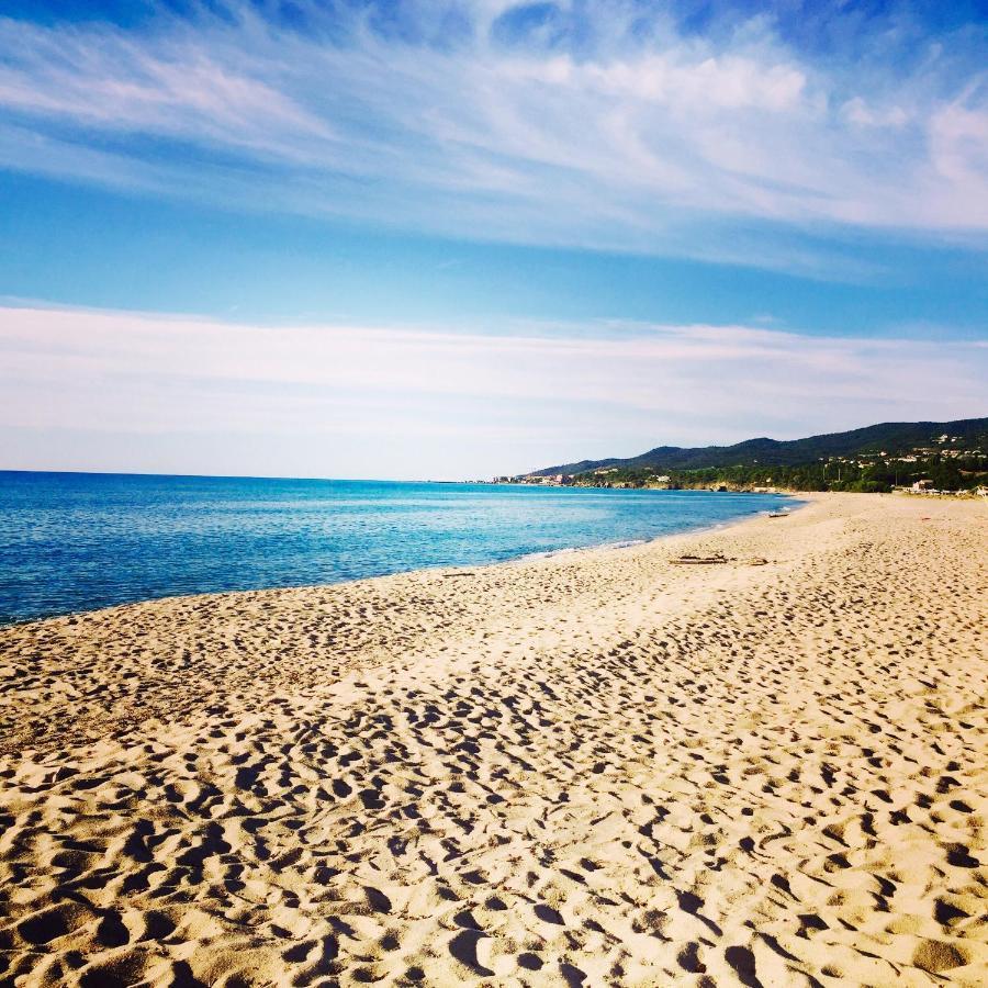 Palauma Plage Sari-Solenzara Ngoại thất bức ảnh