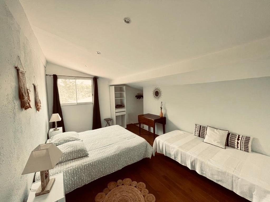 Palauma Plage Sari-Solenzara Ngoại thất bức ảnh